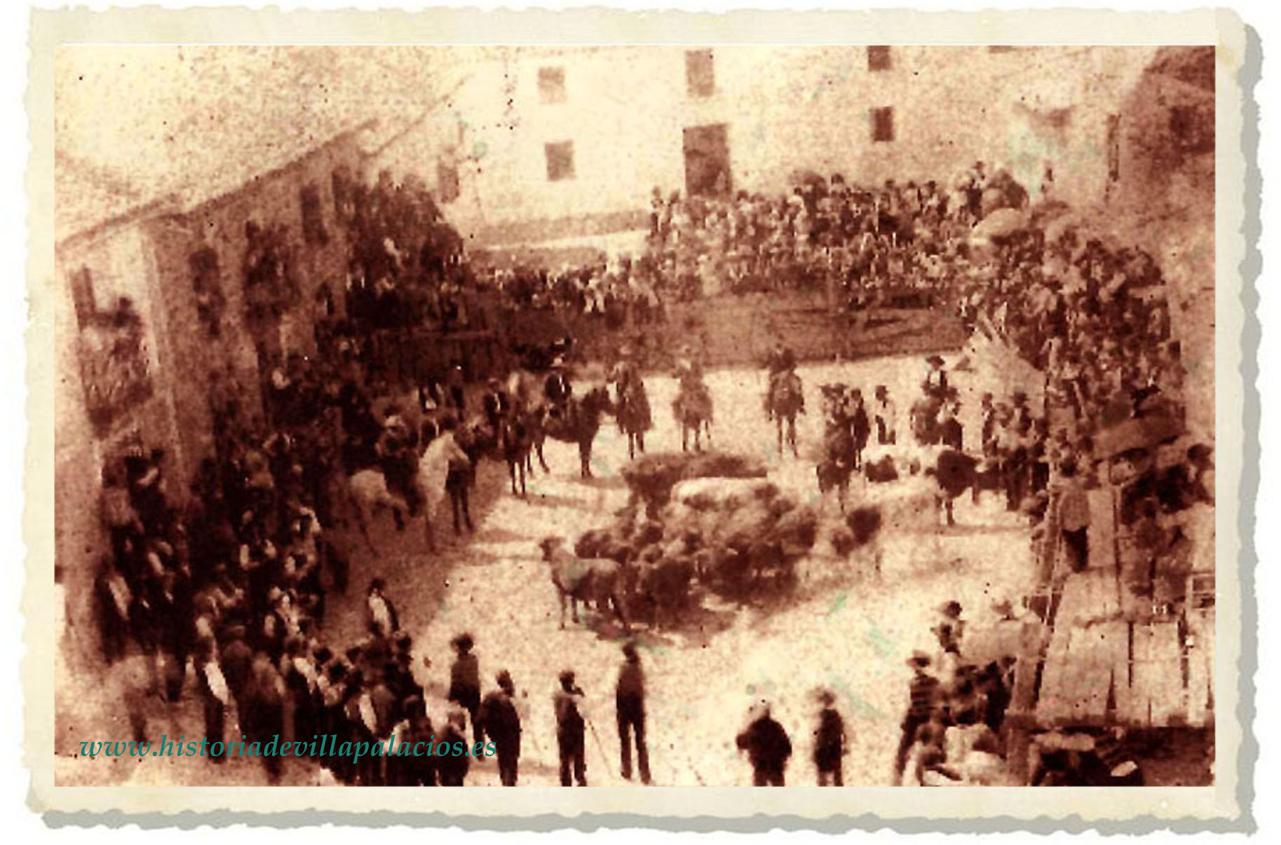 toros